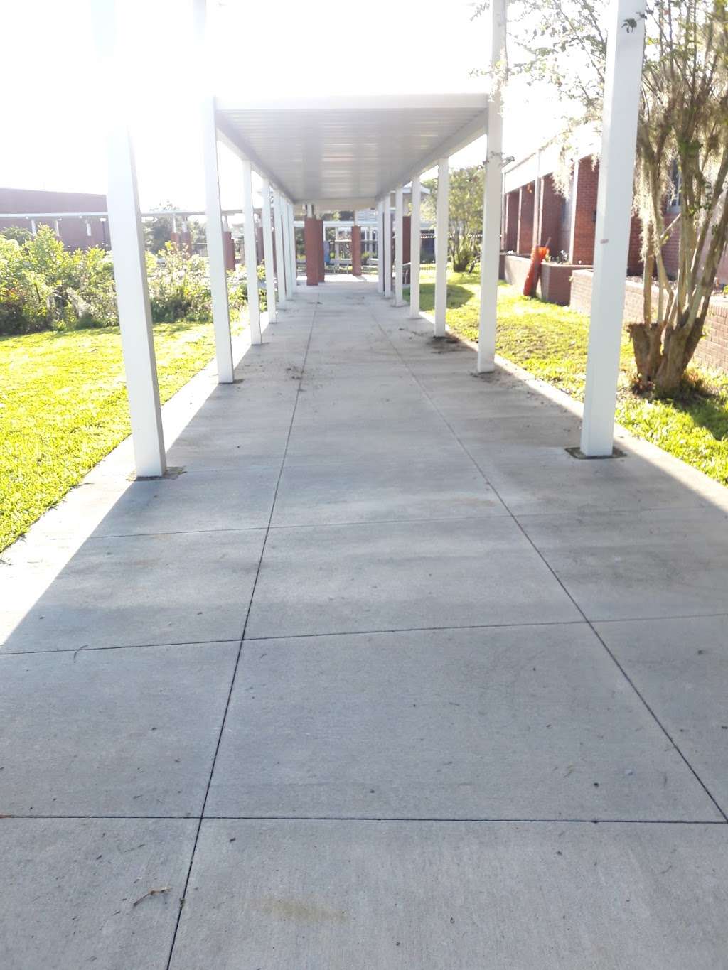 Auburndale Senior High School | 1 Bloodhound Trail, Auburndale, FL 33823, USA | Phone: (863) 965-6200