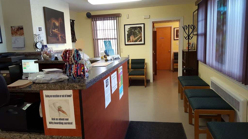 Allentown Cat Clinic, PC | 4090 Tilghman St, Allentown, PA 18104, USA | Phone: (610) 398-3556