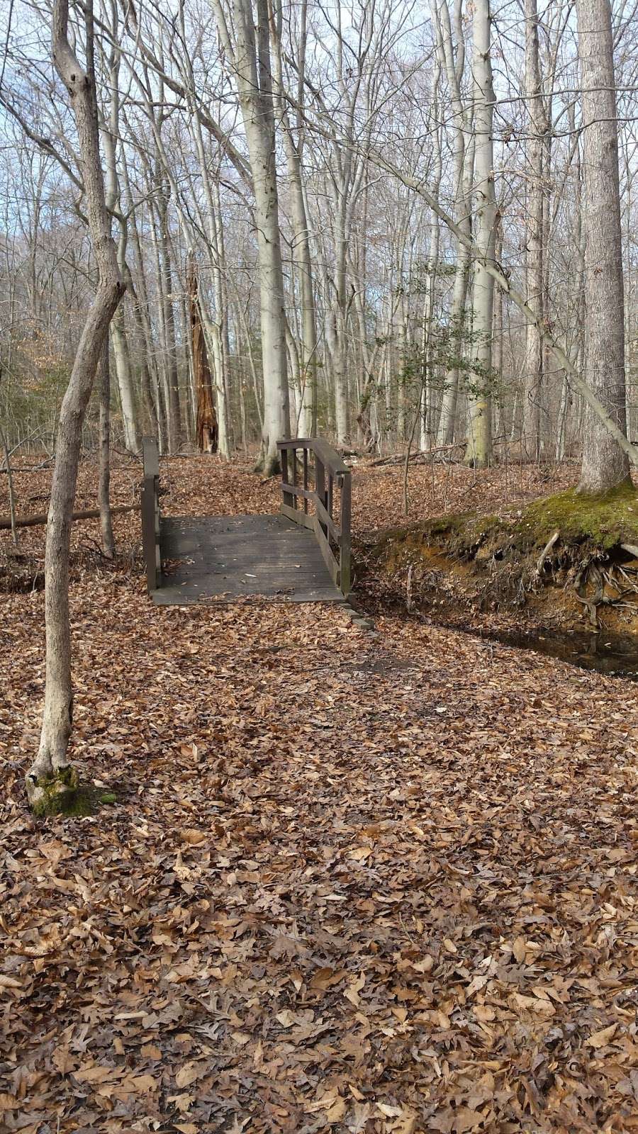 Little Patuxent River Trail | Little Patuxent River Trail, Laurel, MD 20724, USA