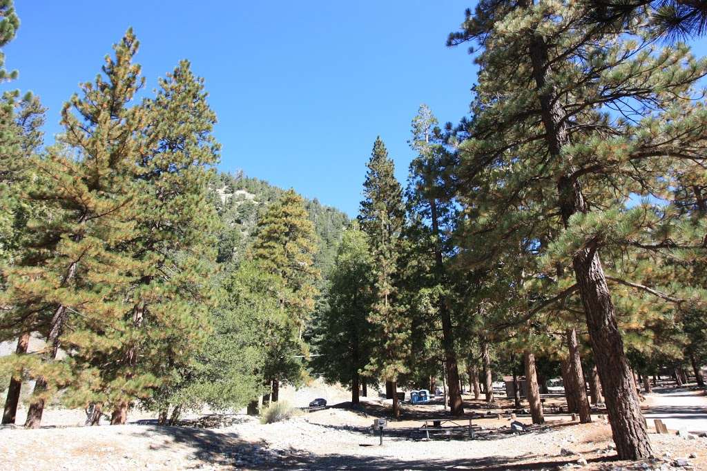 Manker Campground | Mt Baldy, CA 91759, USA | Phone: (909) 982-2829