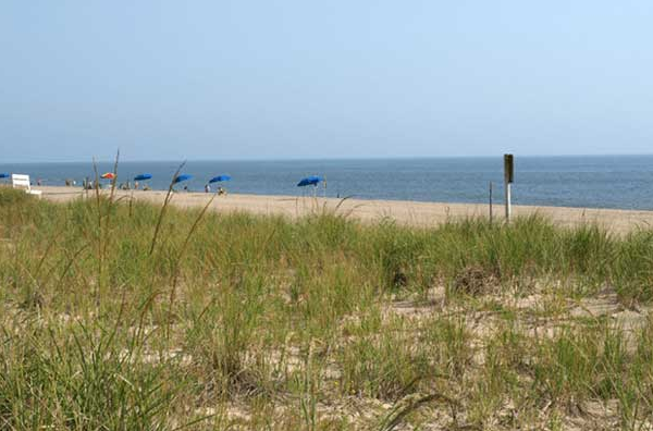 Beach View Hotel | 6 Wilmington Ave, Rehoboth Beach, DE 19971, USA | Phone: (302) 227-2999