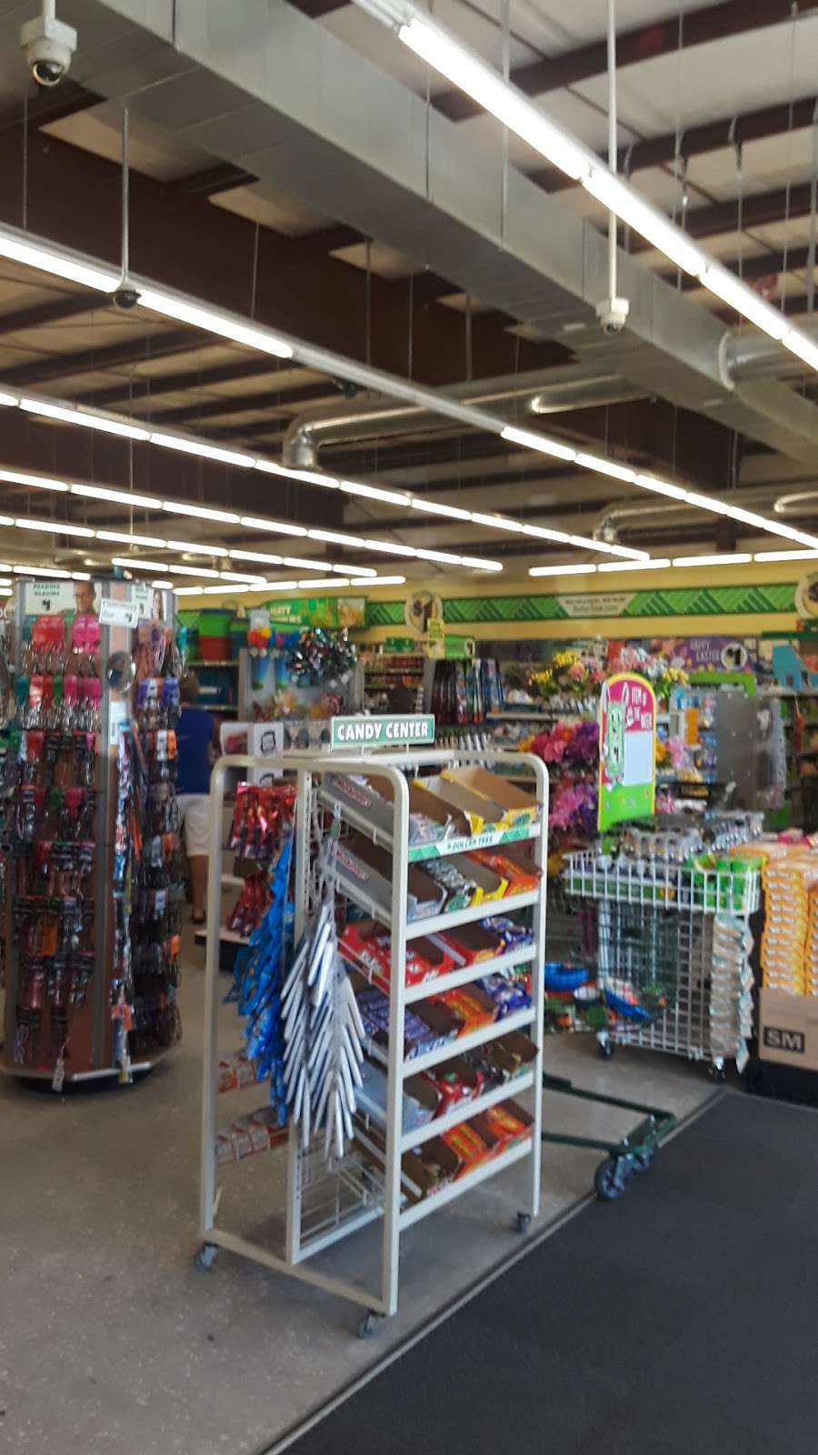 Dollar Tree | 40 Ladybird Point, Oviedo, FL 32765 | Phone: (407) 971-0023