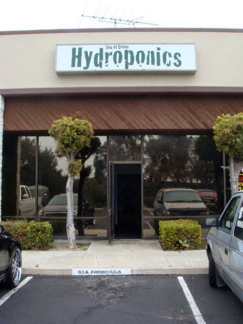 Sea of Green Hydroponics | 14971 Chestnut St, Westminster, CA 92683, USA | Phone: (714) 895-6699