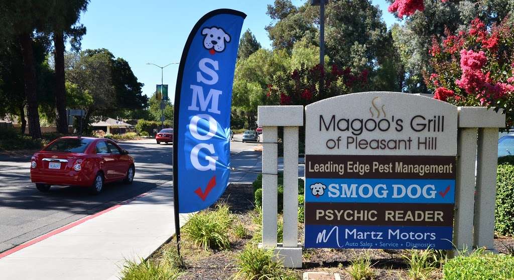 Smog Dog | 1250 Contra Costa Blvd, Pleasant Hill, CA 94523, USA | Phone: (925) 691-1045