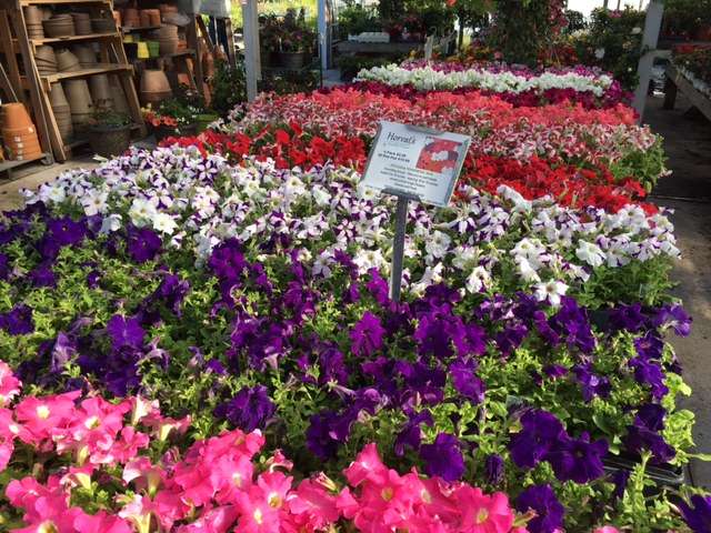 Horvat Nurseries | 9500, 40812 Deep Lake Rd, Antioch, IL 60002 | Phone: (847) 395-2000