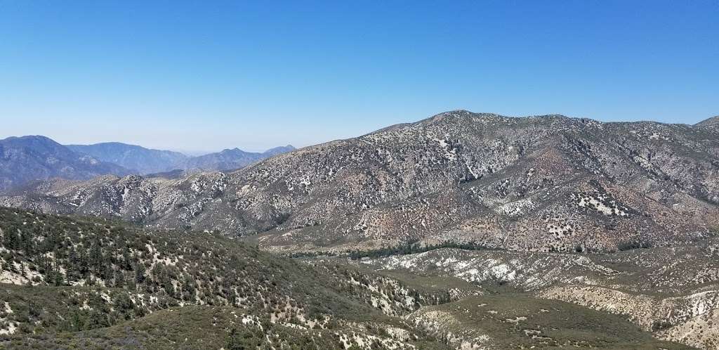 Rosenita Saddle Trailhead | Forest Service Rd 3N17, Pearblossom, CA 93553