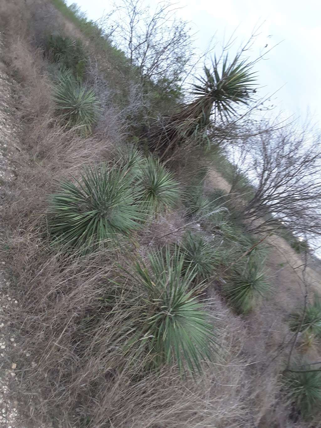 Library Loop Trail System | Library Loop, San Antonio, TX 78247, USA