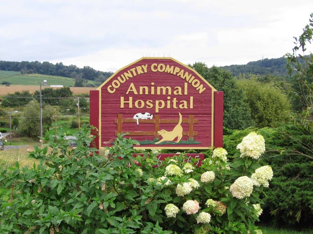 Country Companion Animal Hospital | 110 Morview Blvd, Morgantown, PA 19543 | Phone: (610) 286-9065