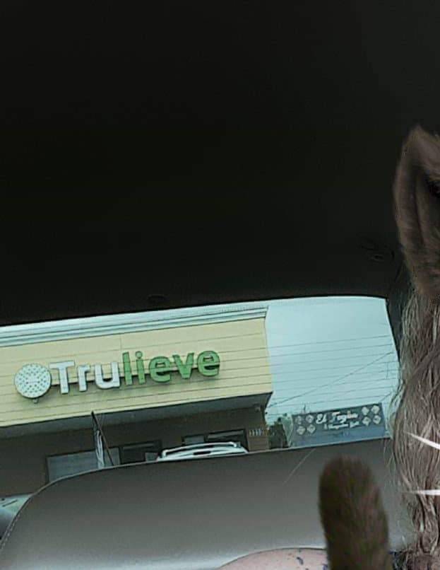 Trulieve Melbourne | 3350 W New Haven Ave, Melbourne, FL 32904, USA | Phone: (321) 204-3068