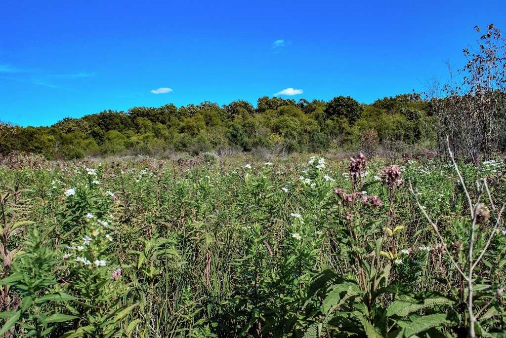 Clover Valley Fen | Hi Lo Rd, Whitewater, WI 53190, USA | Phone: (608) 266-2621