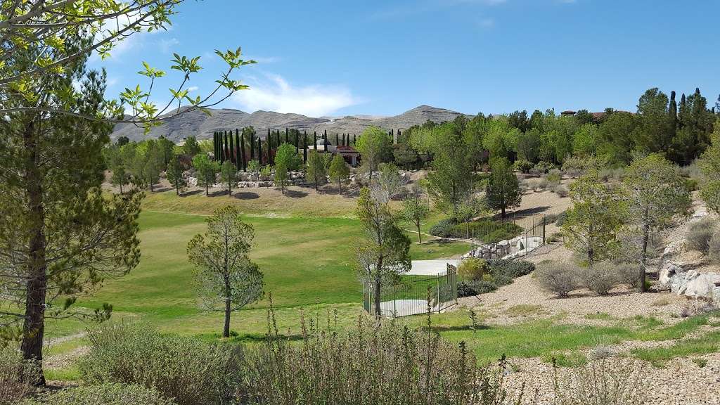Stonewater Park | 11501 Goett Golf Dr, Las Vegas, NV 89141