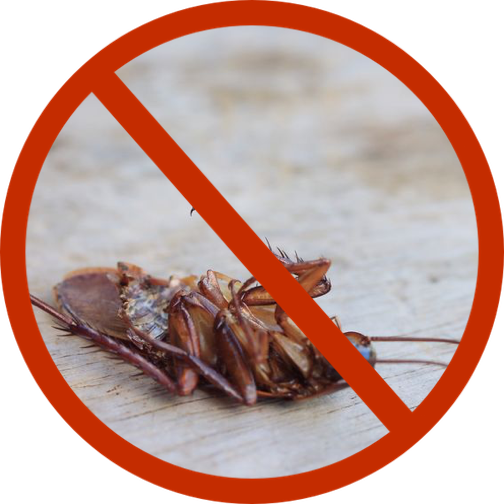 Raven Termite and Pest Control | 1335 Canberra Dr, Baltimore, MD 21221, USA | Phone: (443) 505-3194