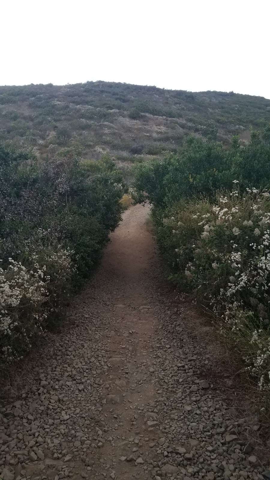 Black Mountain Hike | Black Mountain Hike, San Diego, CA 92129, USA