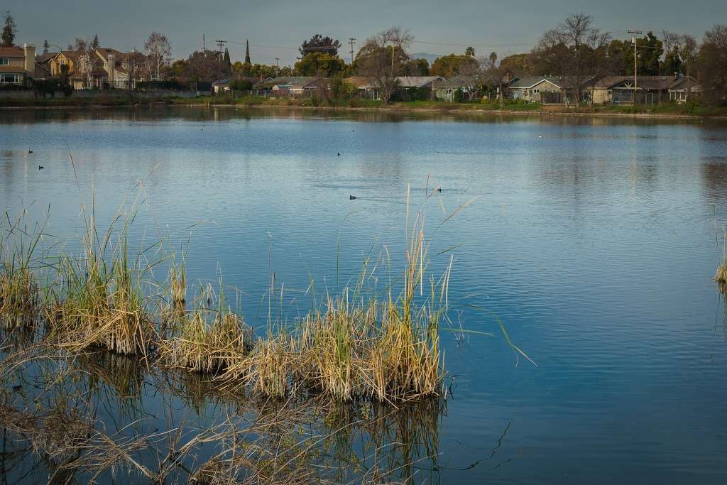 Los Capitancillos Ponds | Guadalupe Creek Trail, San Jose, CA 95118, USA