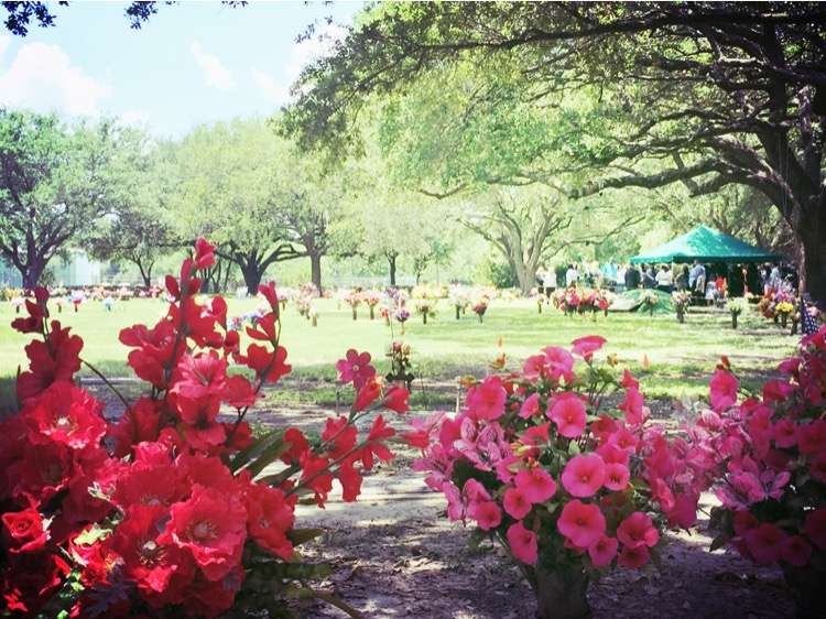 Forest Lawn Cemetery | 8601 Almeda Genoa Rd, Houston, TX 77075, USA | Phone: (713) 991-2313