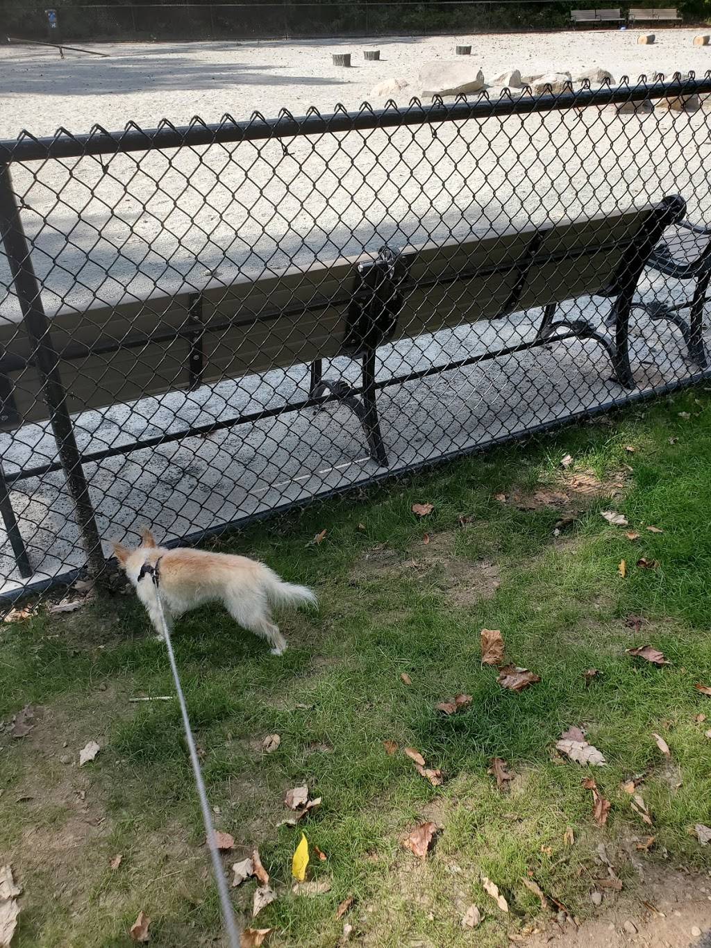 Essex County Branch Brook Dog Park | Branch Brook Park Dr, Newark, NJ 07107, USA | Phone: (973) 268-3500 Essex County Branch Brook Dog Park | Branch Brook Park Dr, Newark, NJ 07107, USA | Phone: (973) 268-3500
