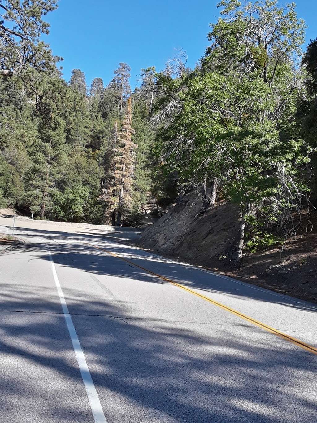 Jackson Lake Picnic Site ( | Valyermo, CA 93563, USA