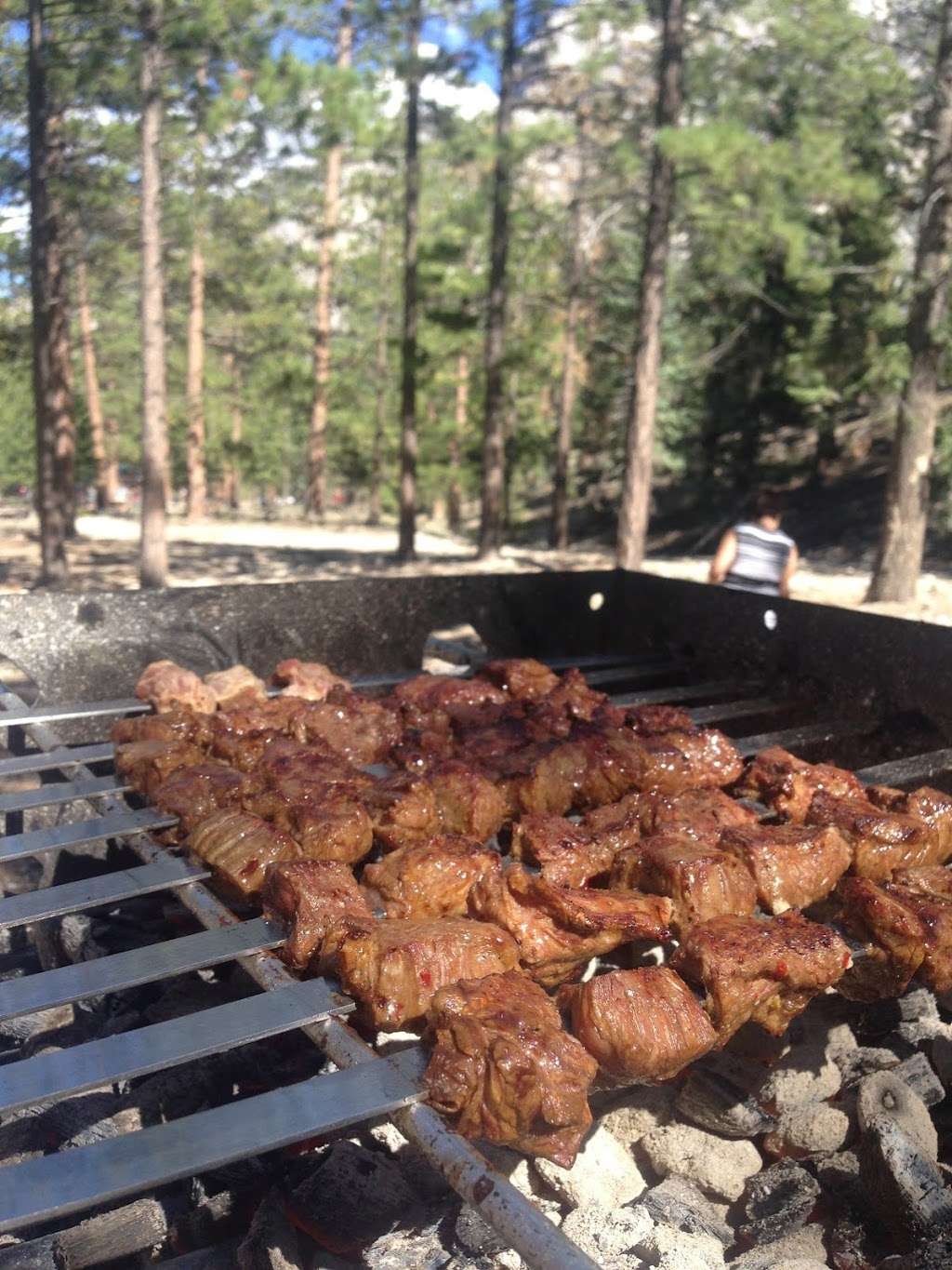 Old Mill Picnic Area | Las Vegas, NV 89124