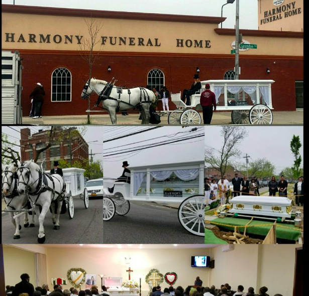 Black Owned Funeral Homes | 2200 Clarendon Rd suite 909, Brooklyn, NY 11226, USA | Phone: (347) 201-3925