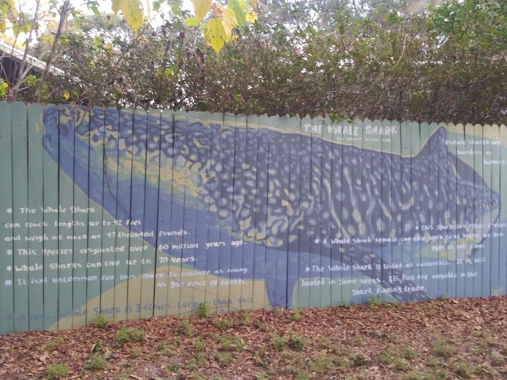 Paint The Trail | Seminole Wekiva Trail, Longwood, FL 32779, USA