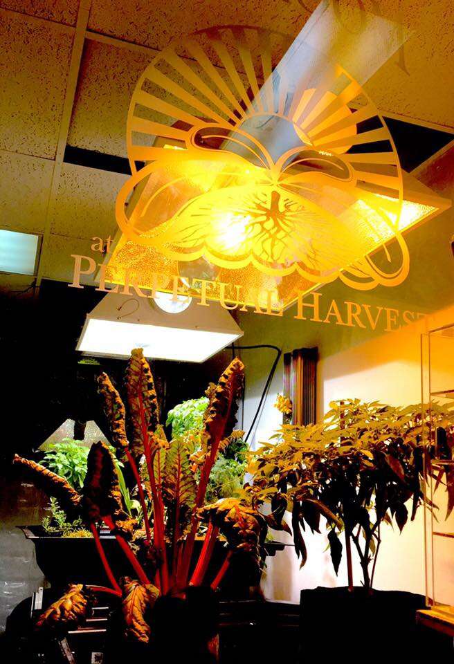 Perpetual Harvest Organic & Hydroponic Garden Supply | 273 Hanover St, Hanover, MA 02339, USA | Phone: (781) 829-6900