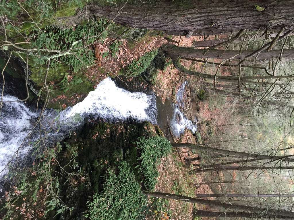 Hornbecks Trail | Hornbecks Creek, 18328, Dingmans Ferry, PA 18328, USA