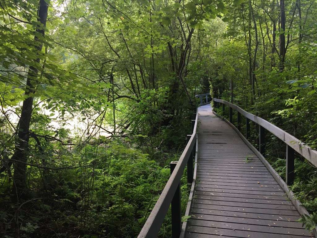 Pinecliff Audubon Sanctuary | Chappaqua, NY 10514, USA