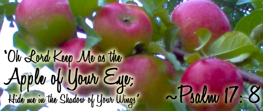 Apple of His Eye Orchard | 3185 S 300 E, Anderson, IN 46017 | Phone: (765) 378-6265