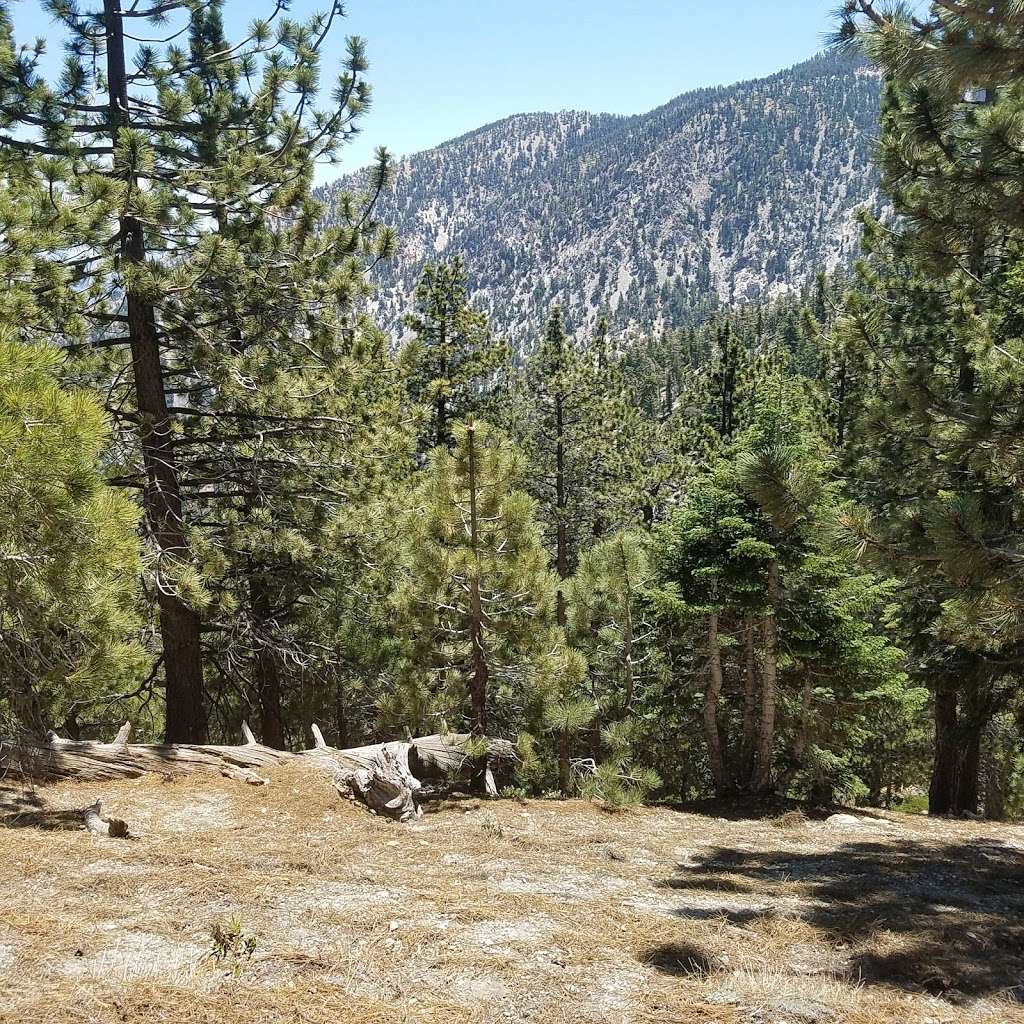 Icehouse Saddle | 34°1422.0"N 117°3548., CA-2, Mt Baldy, CA 91759, USA