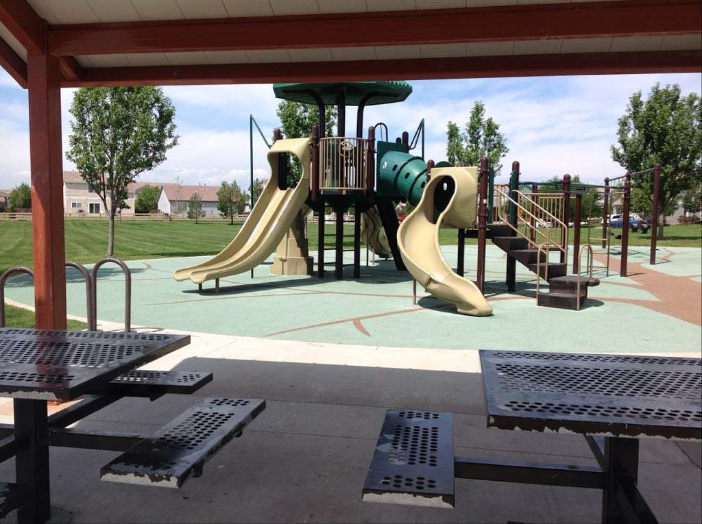 Singletree Park | 19590 E 58th Ave, Aurora, CO 80019, USA | Phone: (303) 739-7160