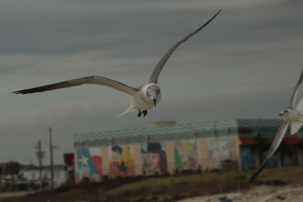 Fort Crockett Park | Galveston, TX 77551, USA | Phone: (409) 934-8100