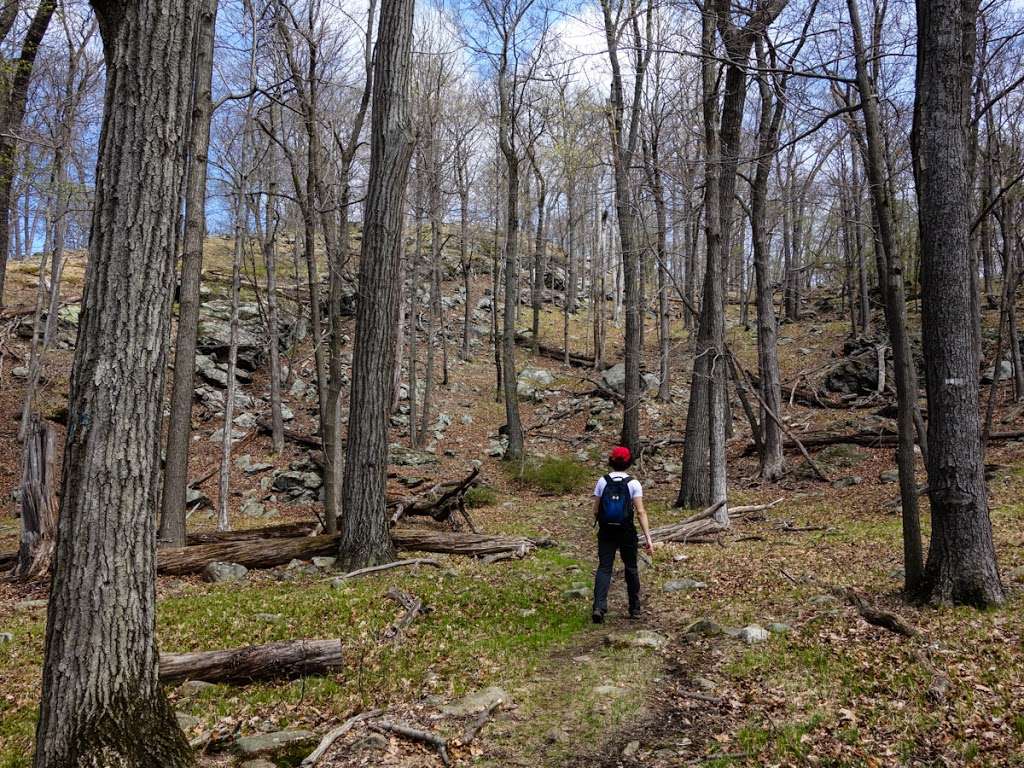 White Bar Trail (white markers) | Tuxedo, NY 10975, USA