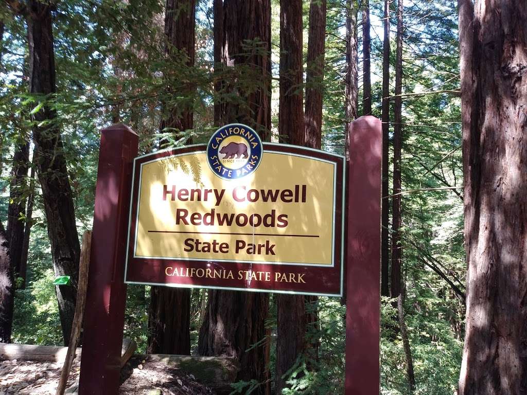 Henry Cowell Redwoods Parking Lot | 064 272-01, Felton, CA 95018, USA
