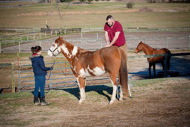 Natchez Trace Veterinary Services - Clinic & Holistic Telemedici | 6614 TN-100, Nashville, TN 37205, USA | Phone: (615) 750-2248