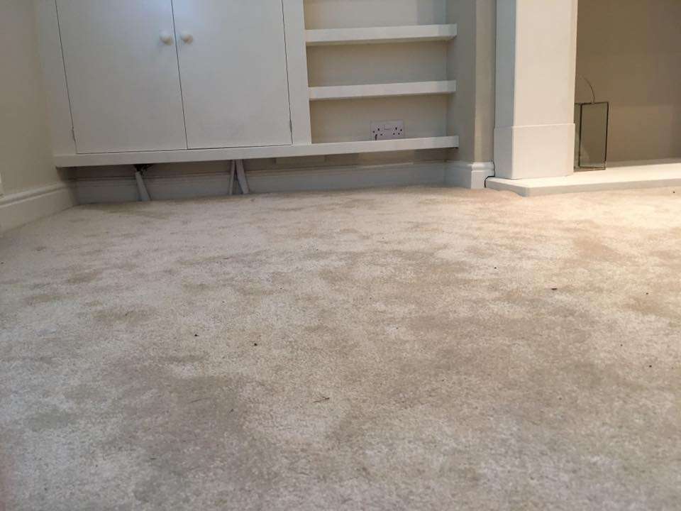 Premier Carpet Cleaning - Wheathampstead | 21 Canham Cl, Kimpton, Hitchin SG4 8SD, UK | Phone: 0333 360 1108