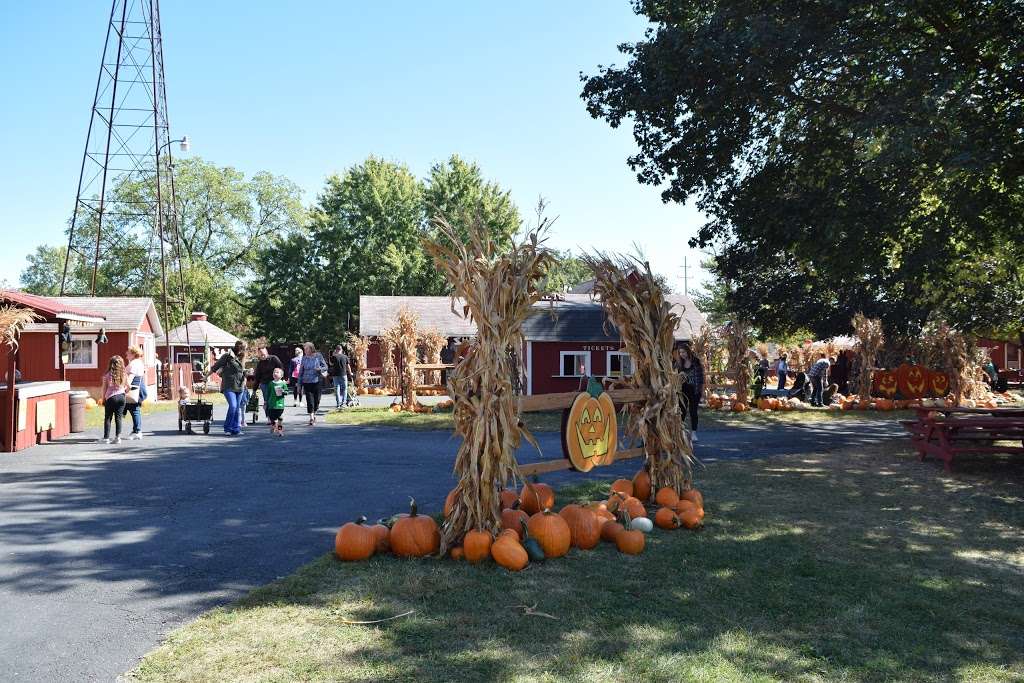 Sonny Acres Farm | 29W310 North Ave, West Chicago, IL 60185, USA | Phone: (630) 231-3859
