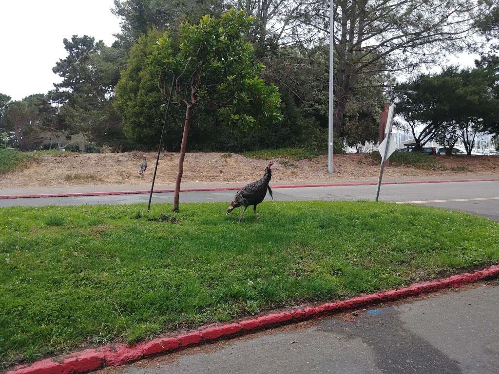 Horseshoe Park | 101 Seawall Dr, Berkeley, CA 94710, USA | Phone: (510) 981-6731