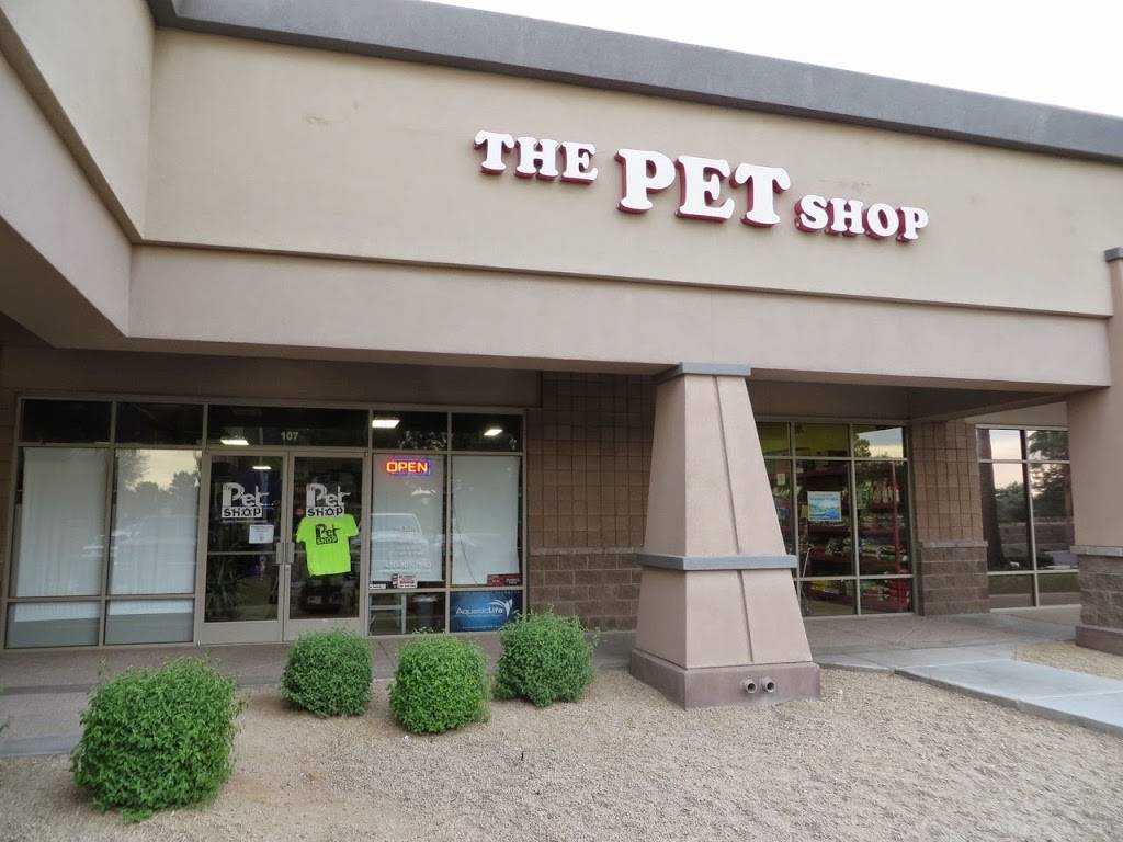 The Pet Shop | 2235 S Power Rd #107, Mesa, AZ 85209 | Phone: (480) 807-7840