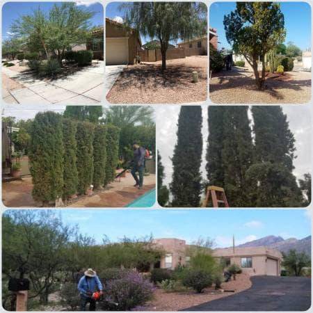 JM Yard Clean Up & Hauling | 1518 - B w, N Roller Coaster Rd, Tucson, AZ 85704 | Phone: (520) 328-9192