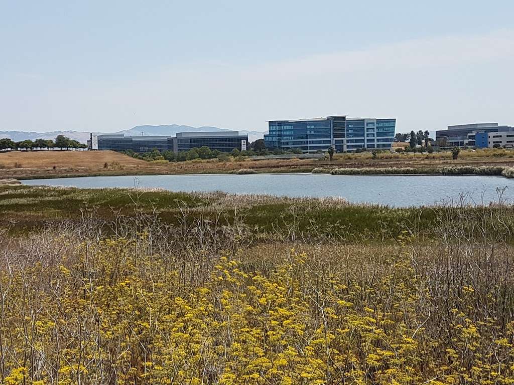 San Tomas Aquino Creek Trail | San Tomas Aquino Creek Trail, Santa Clara, CA 95054, USA