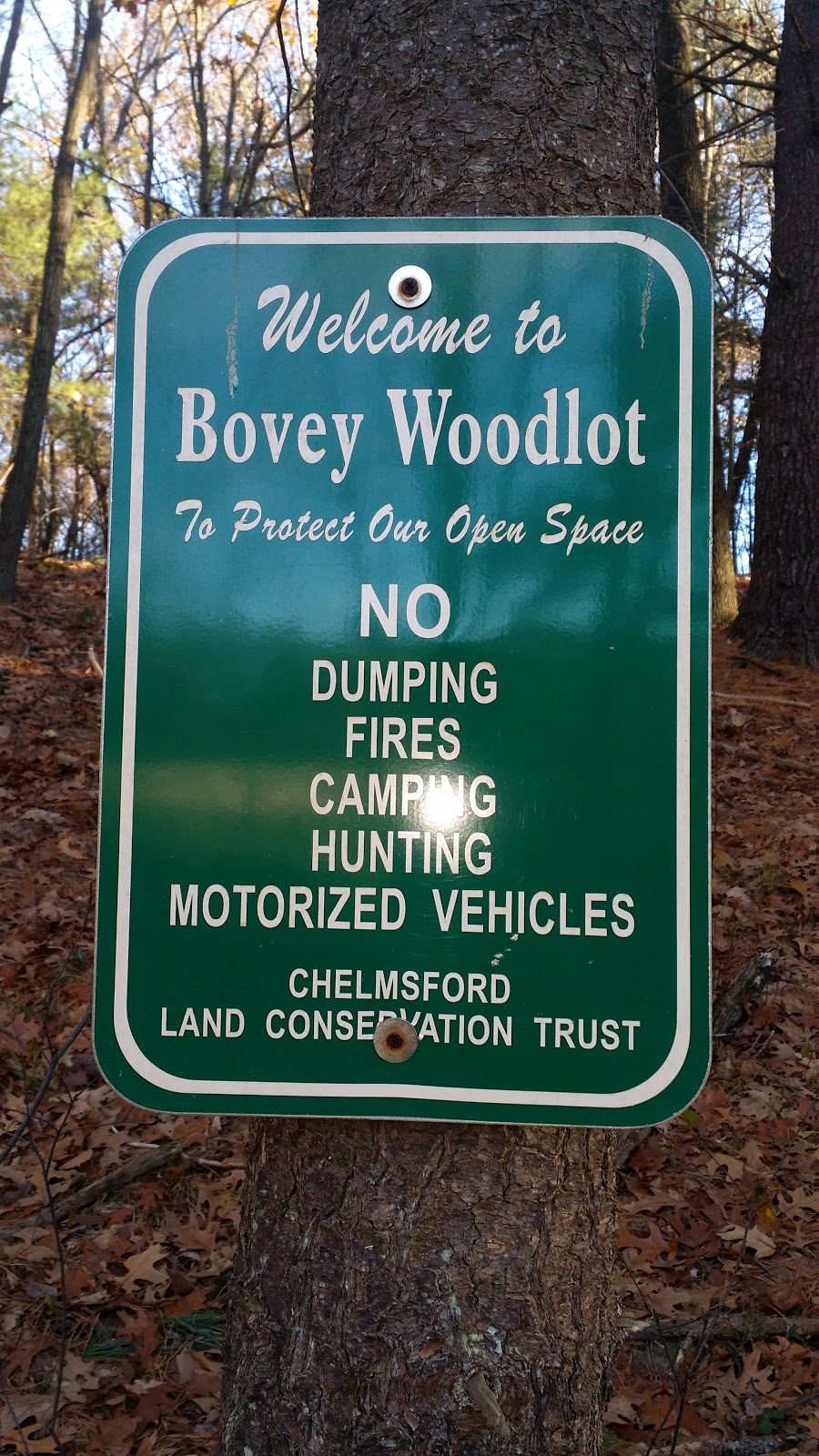 Bovey Woodlot | High St, Chelmsford, MA 01824, USA