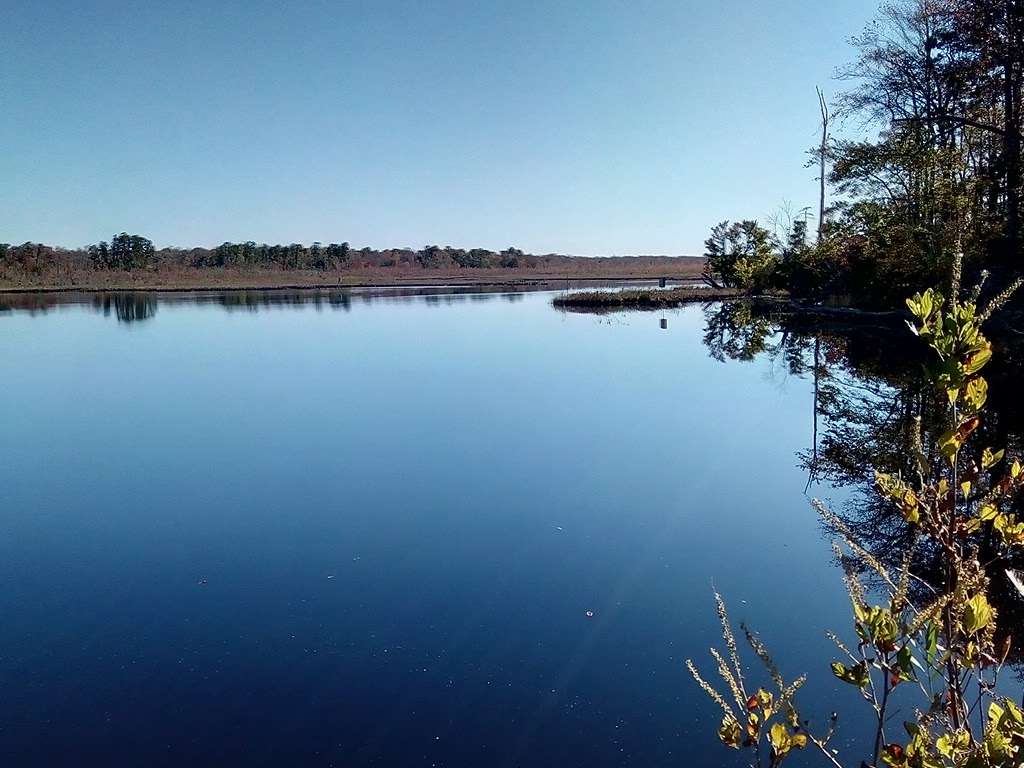 Beaver Swamp Fish and Wildlife Management Area | Cape May Court House, NJ 08210, USA | Phone: (609) 465-8721