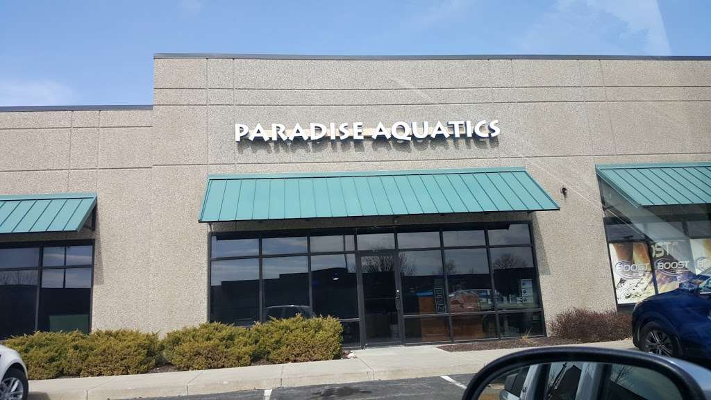 Paradise Aquatics | 16064 Foster, Overland Park, KS 66085, USA | Phone: (913) 339-9060