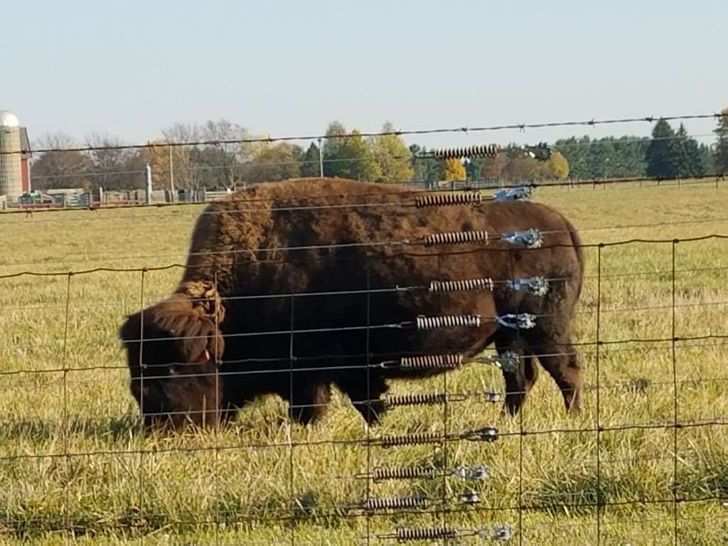 Bison Barn | Pine St, Batavia, IL 60510, USA