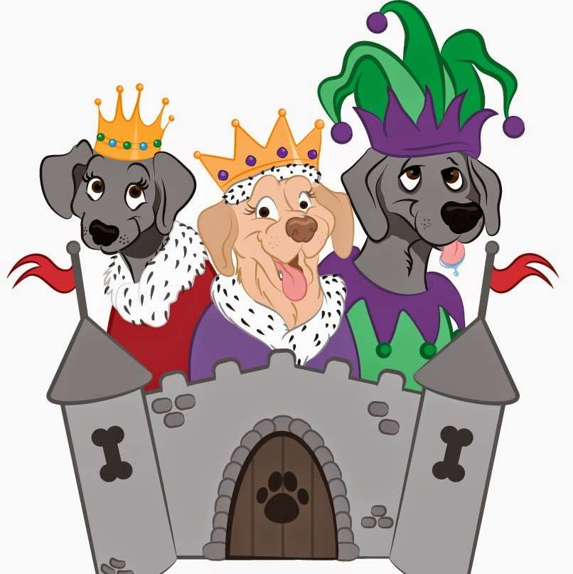 Dog Kingdom Pet Supply | 21 Sarah Ct, Earleville, MD 21919, USA | Phone: (443) 252-2062