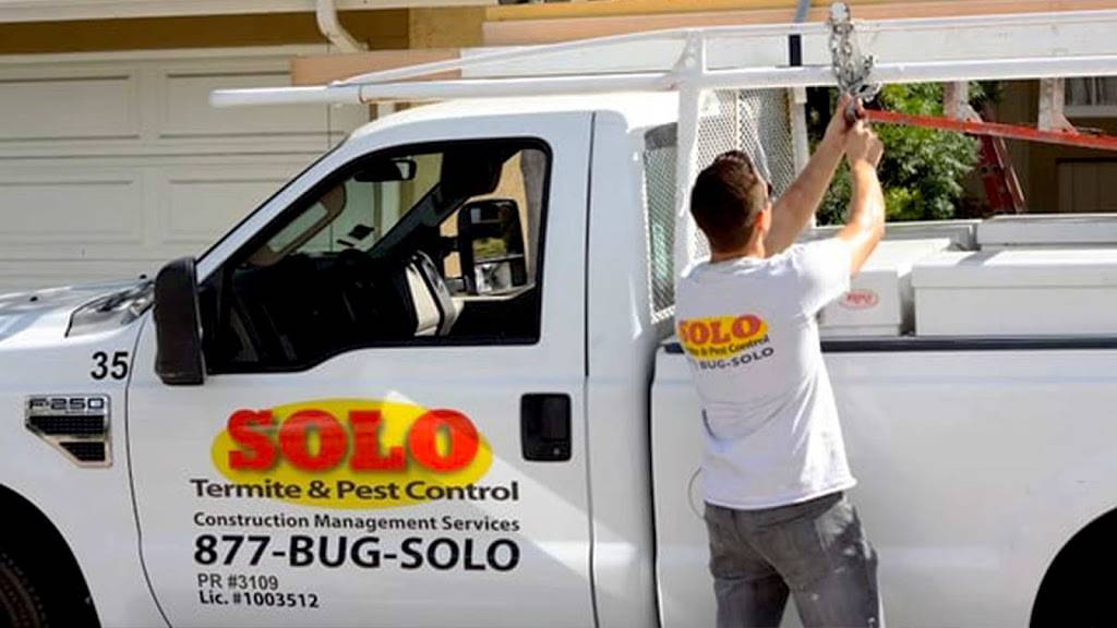 Solo Termite and Pest Control | 22600 Lambert St Ste 1004, Lake Forest, CA 92630, USA | Phone: (949) 855-8872