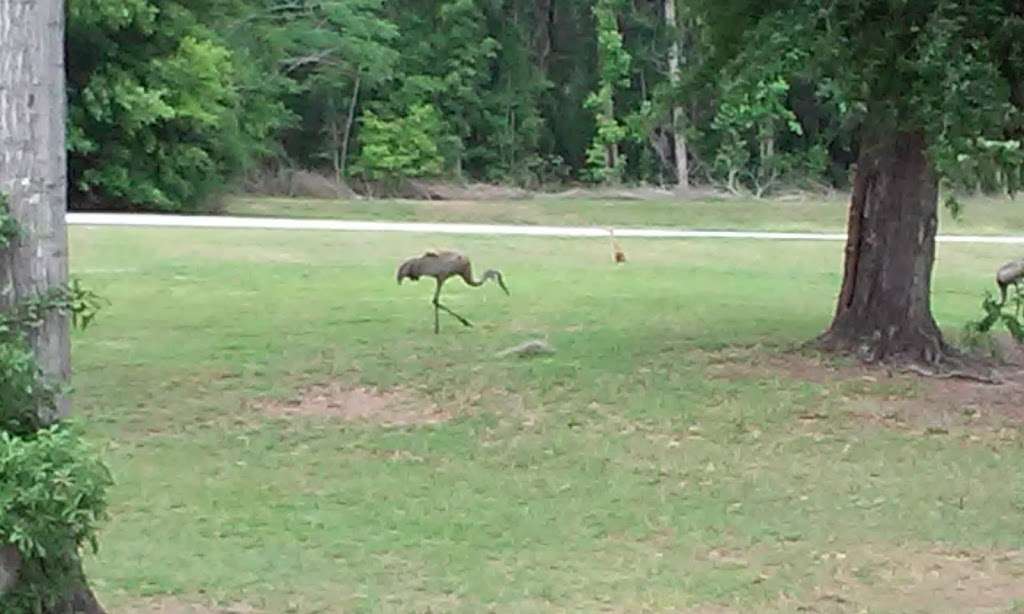 Marion County Fire Rescue Station 18 | 11941 SE 55th Avenue Rd, Belleview, FL 34420, USA | Phone: (352) 291-8000