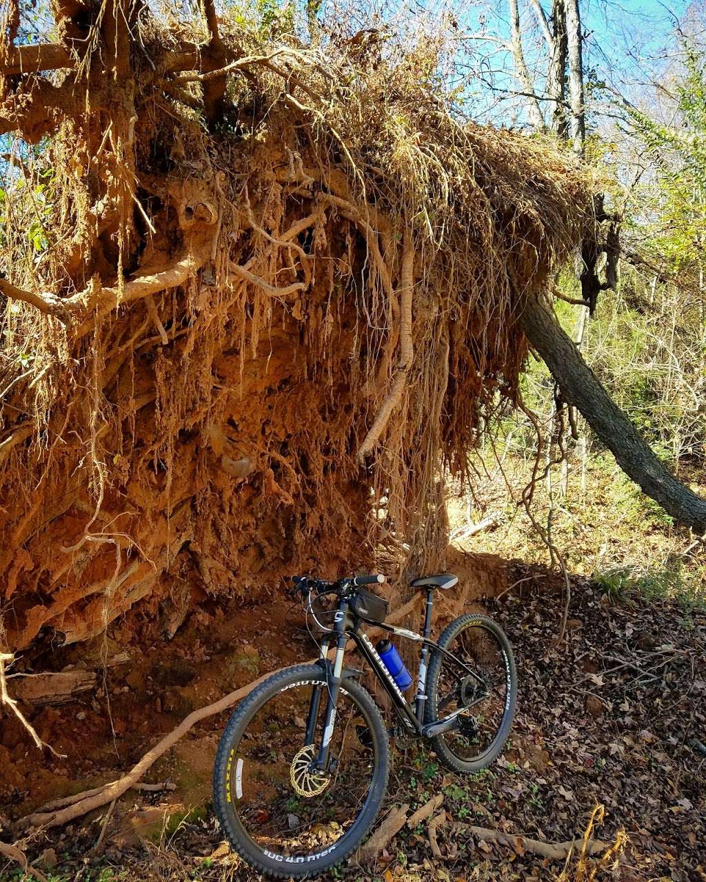 Sherman Branch Mountain Biking Park | 12435 Rocky River Church Rd, Charlotte, NC 28215, USA