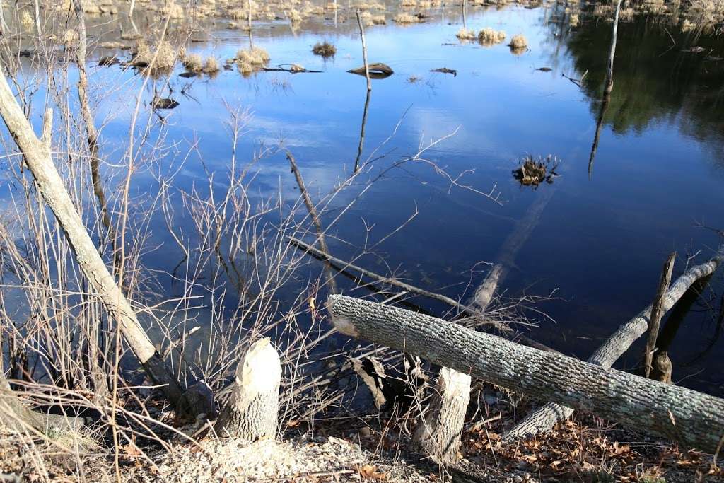 Ice Pond | Brewster, NY 10509, USA