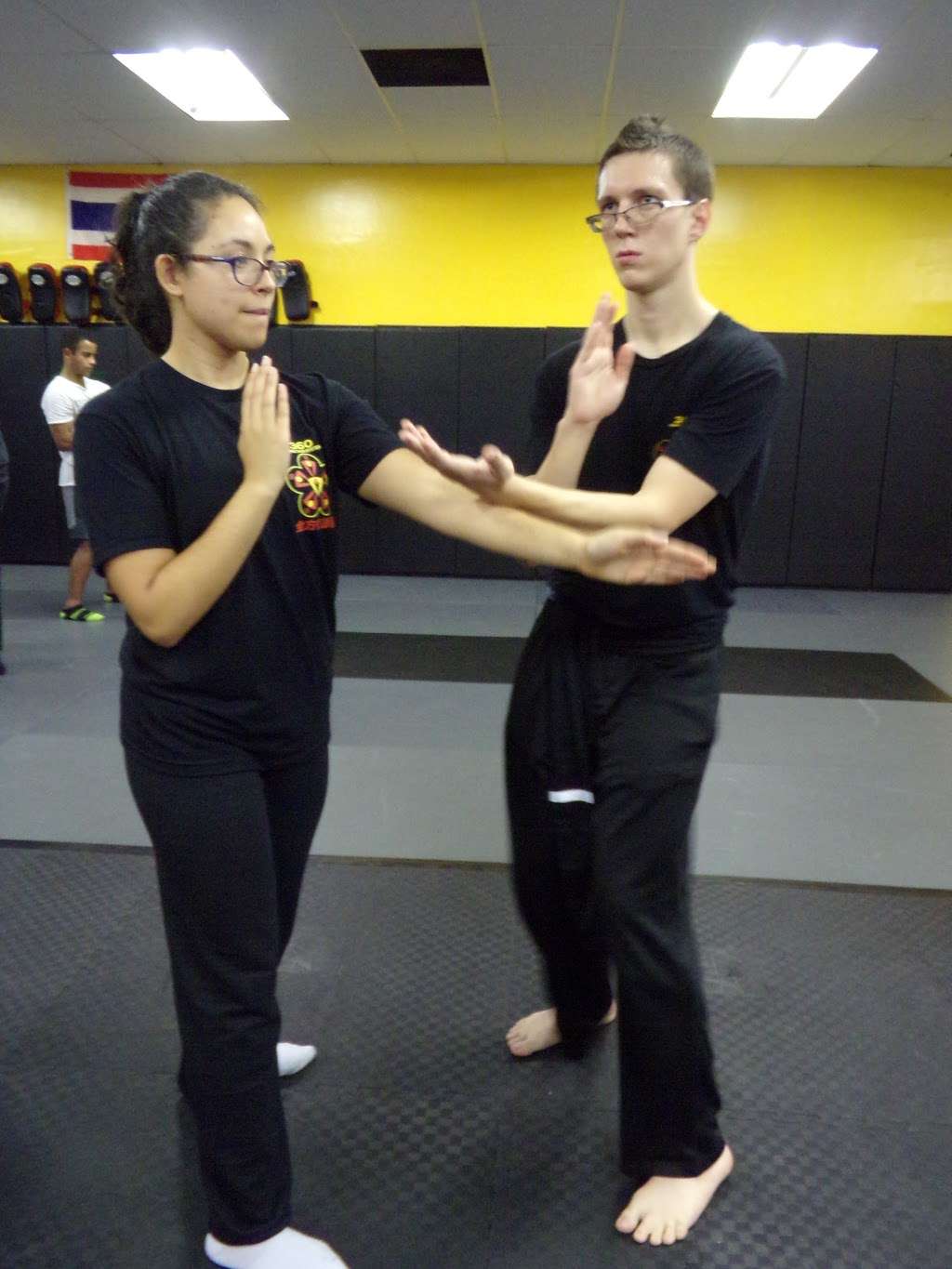 Integrative Wing Chun Phoenix | 1650 N Scottsdale Rd, Tempe, AZ 85281, USA | Phone: (602) 614-7367